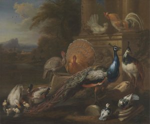 Pávák, galambok, pulykák, csirkék és kacsák egy klasszikus rom mellett alkotó: Marmaduke Cradock
