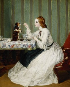 Szerencsére beérkezett adományok, 1862