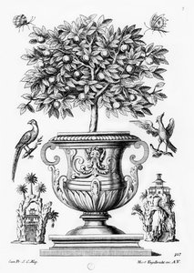 Citrusfák, 1735 körül alkotó: Martin Engelbrecht