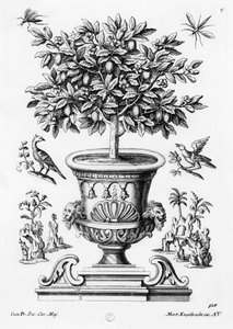 Citrusfák, 1735 körül alkotó: Martin Engelbrecht