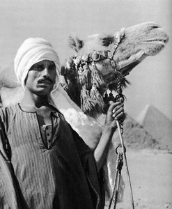 Tevehajtó a piramisok közelében, Egyiptom, 1937
