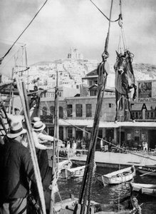 Öszvérek szállítása, Syros-sziget, Görögország, 1937. alkotó: Martin Hurlimann