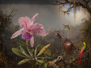 Cattelya orchidea és három brazil kolibri alkotó: Martin Johnson Heade