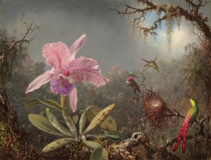 Cattleya orchidea és három kolibri alkotó: Martin Johnson Heade