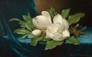  alkotó: Martin Johnson Heade