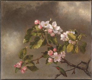 alkotó: Martin Johnson Heade