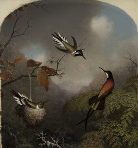 Kolibri: Két gyöngyszem és egy bíbor topáz, 1866 alkotó: Martin Johnson Heade
