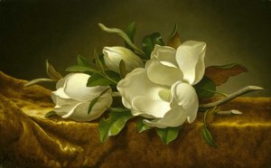 Magnóliák arany bársony ruhán alkotó: Martin Johnson Heade