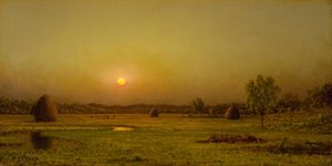  alkotó: Martin Johnson Heade