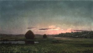 Mocsarak (olaj, vászon) alkotó: Martin Johnson Heade