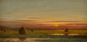  alkotó: Martin Johnson Heade
