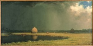Sós mocsári széna, 1865 körül (olaj, vászon) alkotó: Martin Johnson Heade