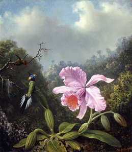 Csendélet orchideával és kolibripárral, 1890 körül