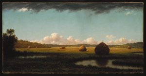 Nyári záporok alkotó: Martin Johnson Heade