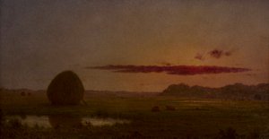 alkotó: Martin Johnson Heade
