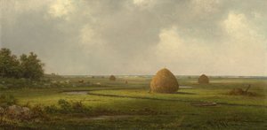 Kilátás a Marshfieldre alkotó: Martin Johnson Heade