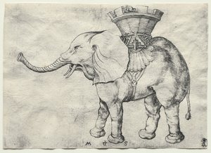 Egy elefánt Howdah-val, c. 1485. alkotó: Martin Schongauer