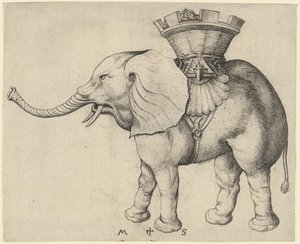 Elefánt alkotó: Martin Schongauer