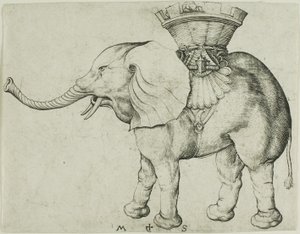 Az elefánt alkotó: Martin Schongauer
