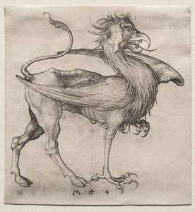A griff, 1400-as évek. alkotó: Martin Schongauer