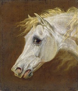 Head of a Grey Arabian Horse (olaj, vászon, panel)