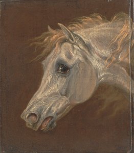 Egy szürke arab ló feje alkotó: Martin Theodore Ward