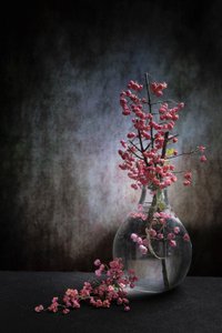 Csendélet rózsaszín bogyókkal alkotó: Martine Benezech