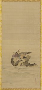Mandarin kacsa, Edo-korszak, 18. század. alkotó: Maruyama Okyo