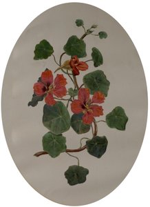 Nasturtiums, 1870 körül (olaj, papír) alkotó: Mary Dakeyne Townroe
