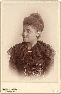 Ida B. Wells-Barnett alkotó: Mary Garrity