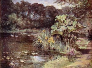 Skót kertek: Culzean (színes litho)