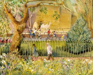 Londoni Állatkert, Camels, 2003 (olaj a fedélzeten) alkotó: Mary Kuper