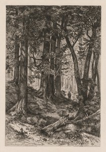 Egy kaliforniai erdő belseje Thomas Moran amerikai után, 1837-1926, 1888.