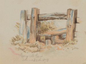 Névtelen Stile, 1873. alkotó: Mary Vaux Walcott