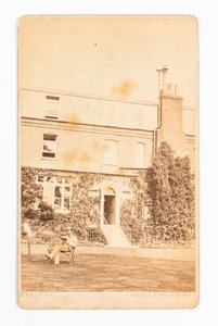 Carte de visite Gad