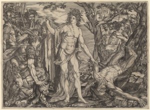 Apollo és Marsyas alkotó: Master MF
