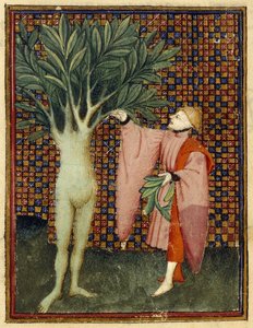 Apollo és Daphne