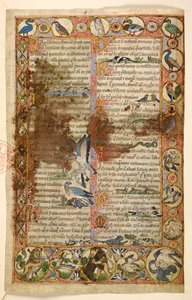 Hozzáadás. 28841, f.1, Rombusz, gömbölyű és négyszárnyú geometriai szegélyek, amelyekben állatok laknak, és figurális jelenetek: madarak, hüllők és állatok, beleértve a más lényekre támadó oroszlánokat és az egymással harcoló madarakat, kakas, bagoly, csíp