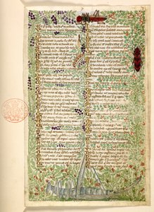Hozzáadás. 28841, f.7, Virágok, gyümölcsök és rovarok, köztük egy szöcske és egy sáska, az erényekről és gonoszságokról szóló traktátusból és Szicília névtelen prózatörténetéből (töredék)