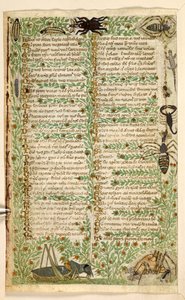Hozzáadás. 28841, f.7v: Virágok, gyümölcsök és rovarok, köztük egy skorpió és egy gyík.  Értekezés az erényekről és gonoszságokról, valamint Szicília névtelen prózatörténete (töredék)  Cocharelli