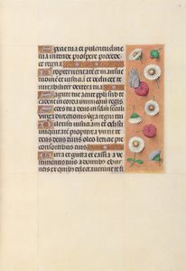 Izabella katolikus királynő, Spanyolország királynőjének órái:  Fol. 104r alkotó: Master of the First Prayerbook of Maximillian
