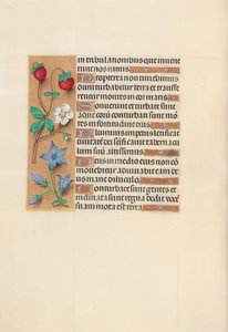 Izabella katolikus királyné, spanyol királynő órái: Fol. 105V, c. 1500. alkotó: Master of the First Prayerbook of Maximillian