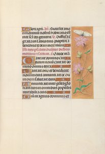 Izabella katolikus királynő, Spanyolország királynőjének órái:  Fol. 107r alkotó: Master of the First Prayerbook of Maximillian