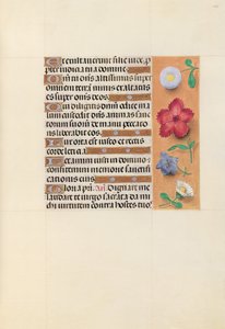 Izabella katolikus királyné, spanyol királynő órái: Fol. 109r, c. 1500. alkotó: Master of the First Prayerbook of Maximillian