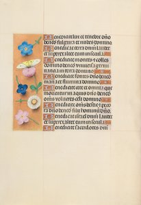Izabella katolikus királyné, spanyol királynő órái: Fol. 119v, c. 1500. alkotó: Master of the First Prayerbook of Maximillian