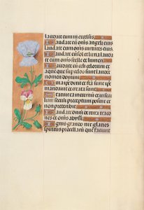 Izabella katolikus királynő, Spanyolország királynőjének órái:  Fol. 120v alkotó: Master of the First Prayerbook of Maximillian