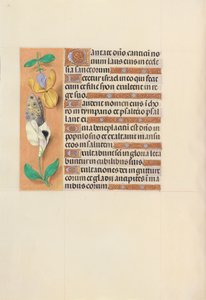 Izabella katolikus királyné, spanyol királynő órái: Fol. 121v, c. 1500. alkotó: Master of the First Prayerbook of Maximillian