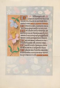 Izabella katolikus királyné, spanyol királynő órái: Fol. 127V, c. 1500. alkotó: Master of the First Prayerbook of Maximillian