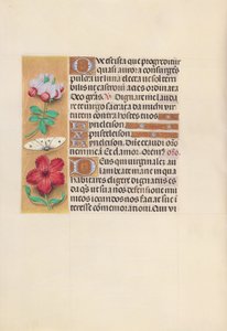 Izabella katolikus királyné, spanyol királynő órái: Fol. 129v, c. 1500. alkotó: Master of the First Prayerbook of Maximillian