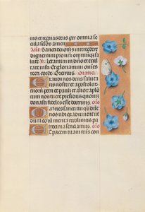 Izabella katolikus királyné, spanyol királynő órái: Fol. 130r, c. 1500. alkotó: Master of the First Prayerbook of Maximillian